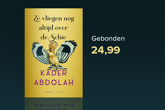 Ze vliegen nog altijd over de Schie